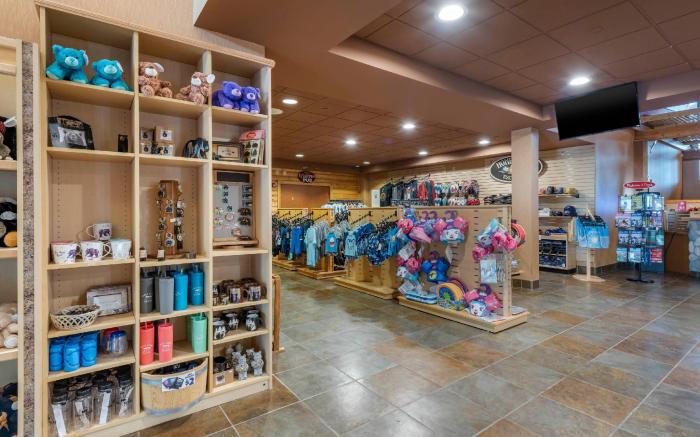 Three Bears Waterpark Resort Near Tomah, Ascend Collection Hotel