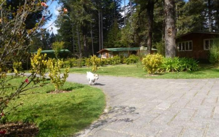 Rancho Viejo