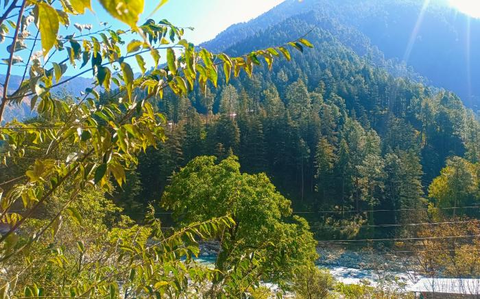 Apple Garden katagla Kasol