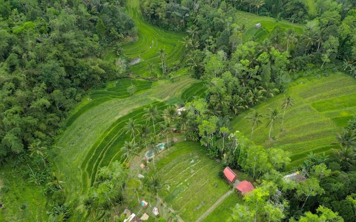 Pesona Bali Ecolodge by AGATA