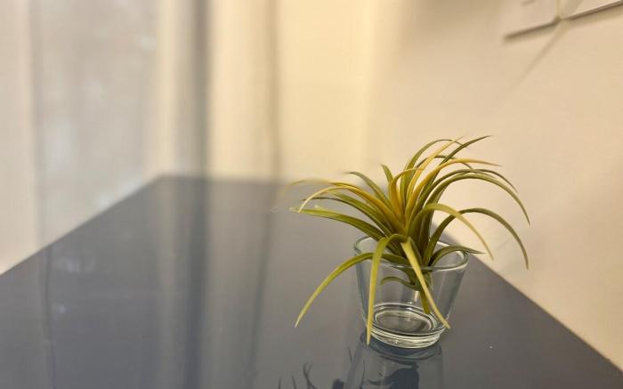 La Mezzo 1 BHK Service Apartment