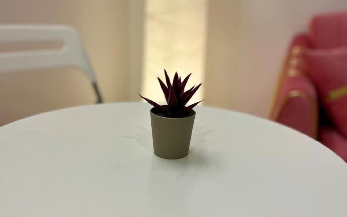 La Valentine 1 BHK Apartment