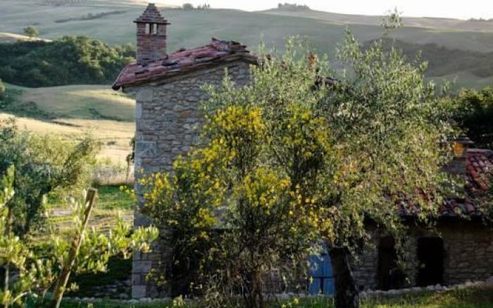 Podere Spedalone