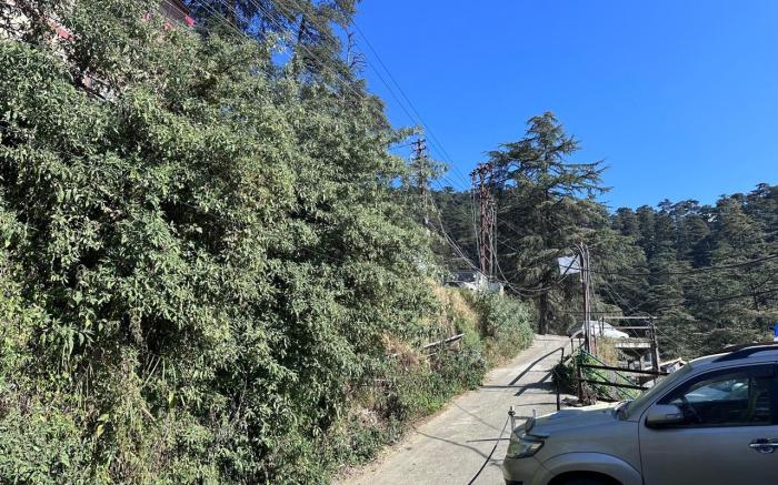 The Misty Pines Inn