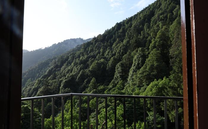 PARADISE HILLS DALHOUSIE