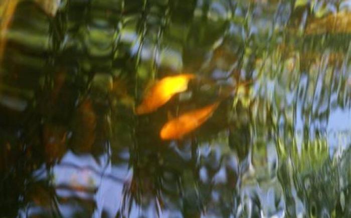 Chambres d'hotes Les Charmettes