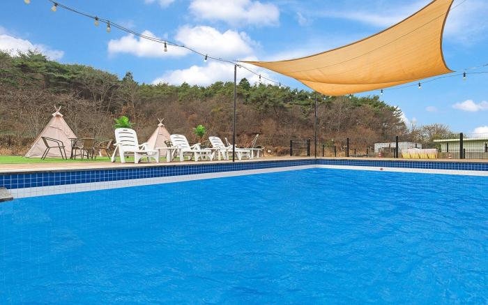 Anmyeondo Town 1967 Dog Pool Villa