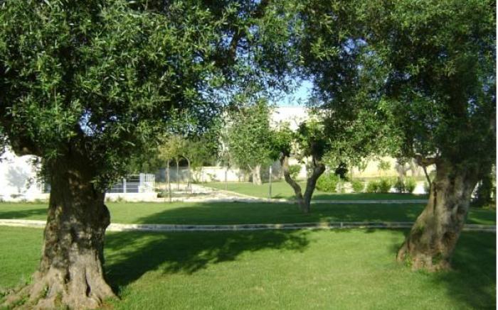 Willaria Country House