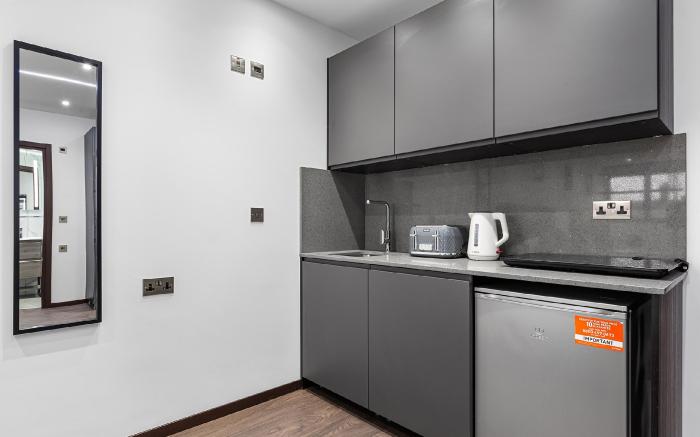 Modern Spacious Suite Sleeps 4 in Central London