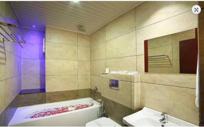 Hotel C7 Munnar