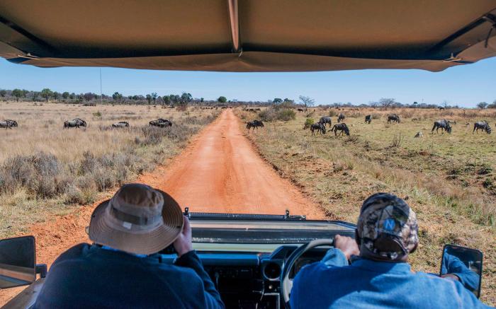 Ilanga Safari Lodge - Welgevonden Game Reserve
