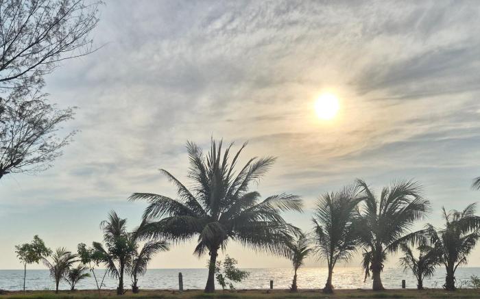 A peaceful atmosphere filled with special nature.