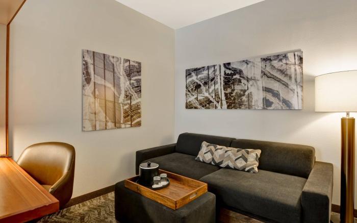 SpringHill Suites by Marriott Cincinnati Midtown