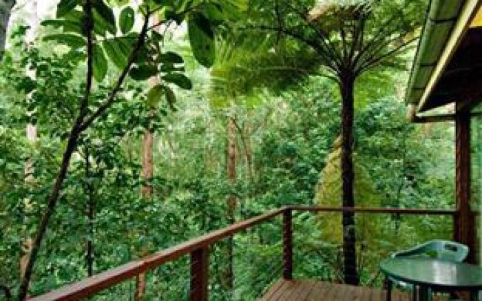Kondalilla Eco Resort