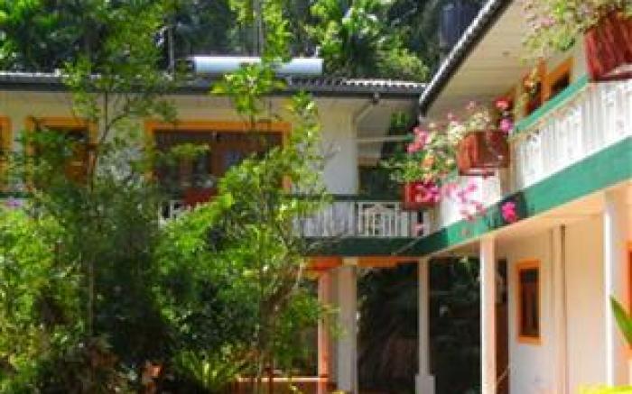 Rainforest Lodge