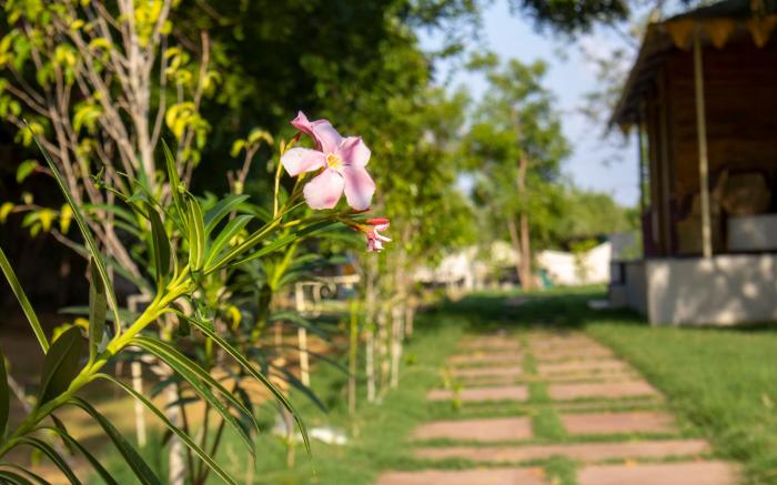 Aranya by Stories