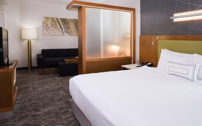SpringHill Suites Huntsville Downtown