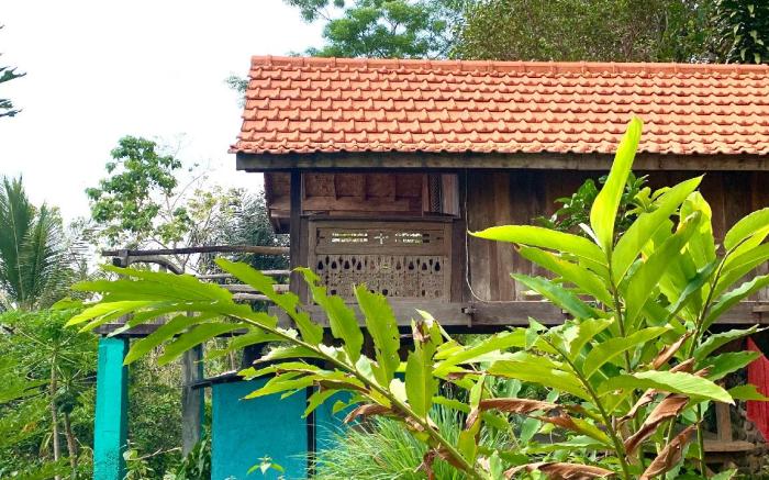 rice hut 2
