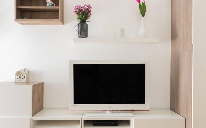 Charming Milanese Apartment