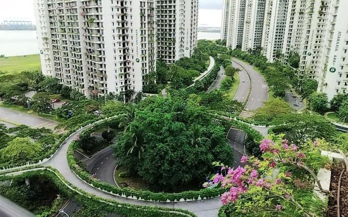 forestcity余水知欢13