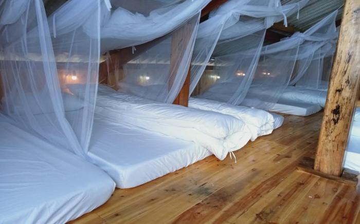 Tổ Ếch Homestay