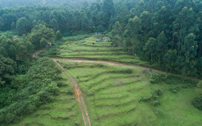 Anandavana Jungle Living Kanthalloor by LexStays