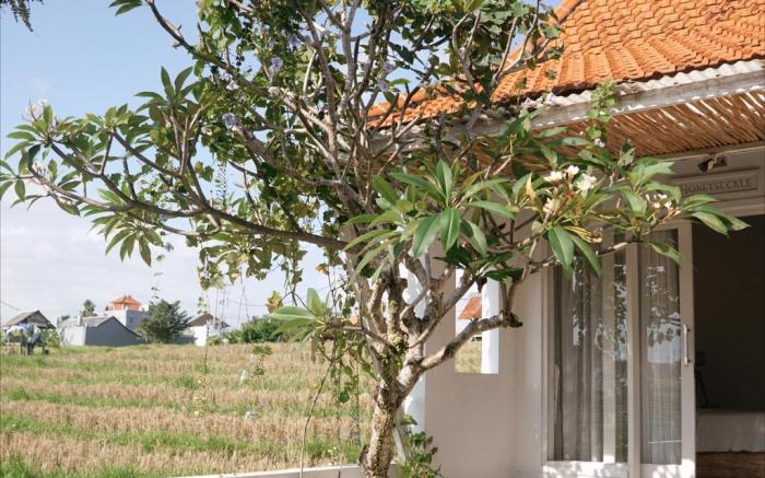 Idyll House