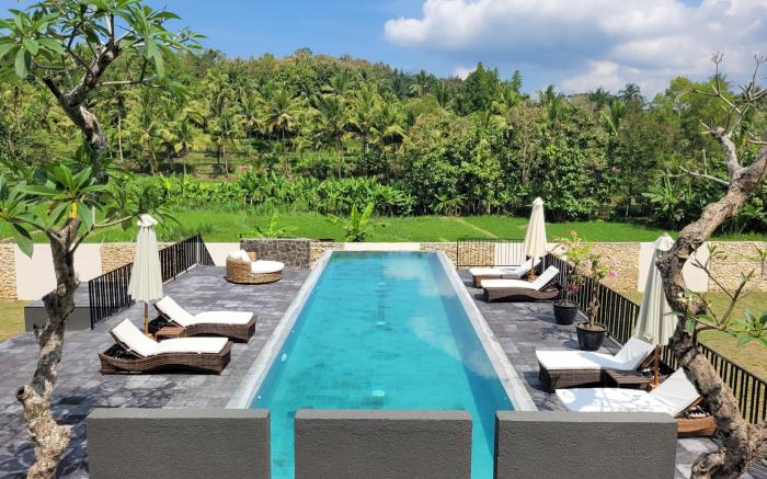 Villa Norwegia -pool with panorama rice field view