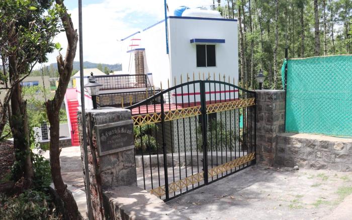 Pine villa garden 