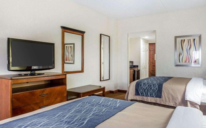 Comfort Inn Conyers