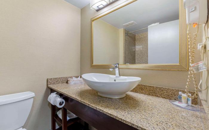 Comfort Inn Herndon-Reston