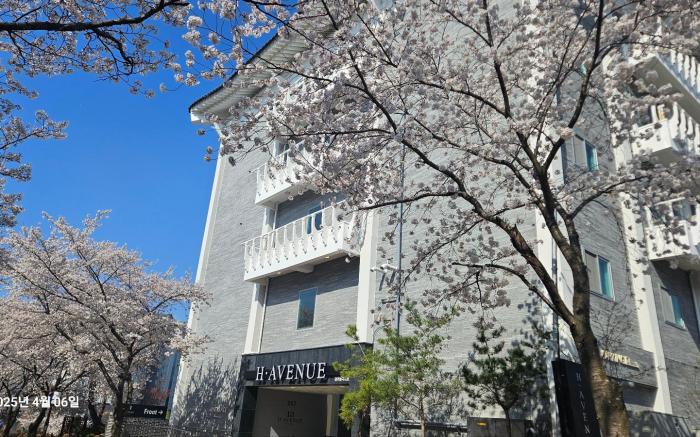 Gyeongju H Avenue Gyeongju Bulguksa Branch