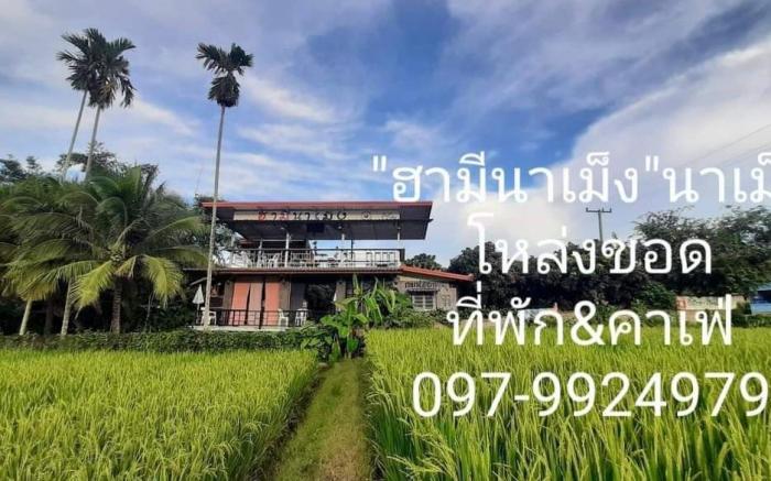 ฮามีนาเม็ง