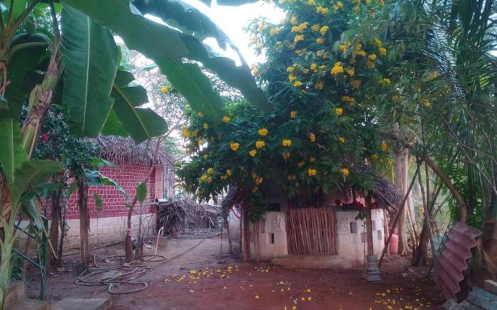 Thiru Nakshatra Family Guest House