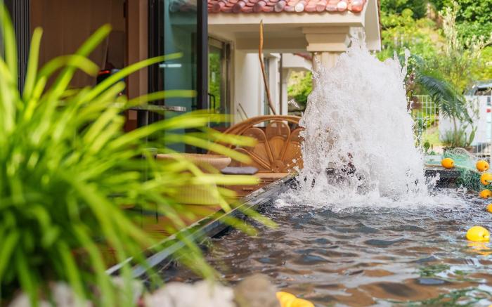 Jeju Dangdangi Dog Pension Black