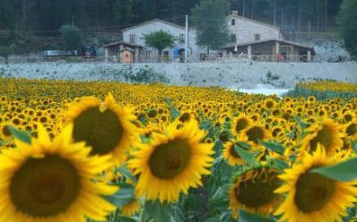 Agriturismo Il Casale