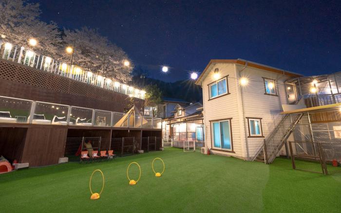Gapyeong J-Mong Pet Camping Zone Pension