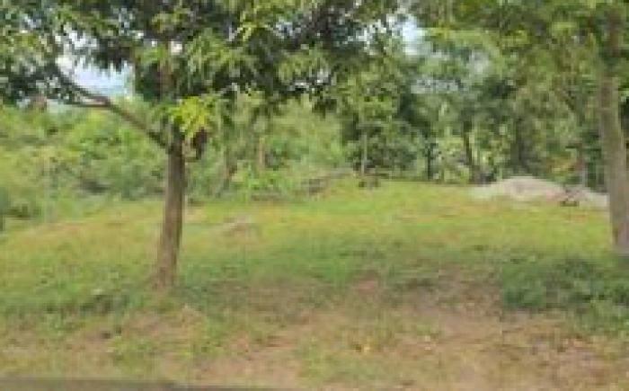 Hallara Campfarm 