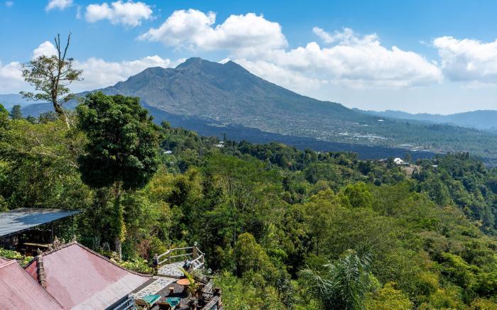 Tiing Bali Guest House Kintamani