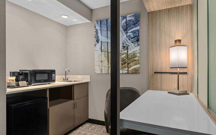 SpringHill Suites by Marriott Minneapolis West/St. Louis Park