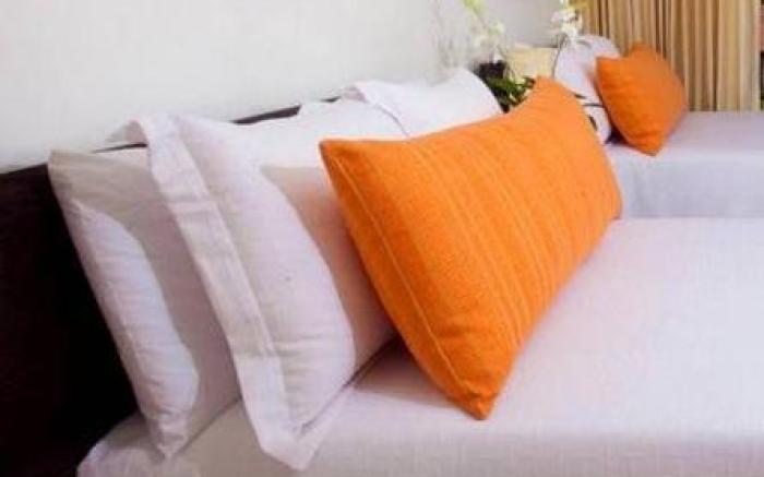 Hotel Silvestre