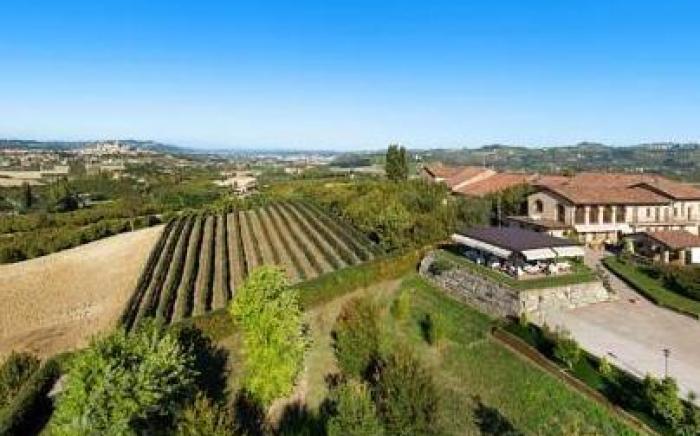 Il Vigneto