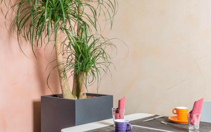 ibis Styles Meaux Centre