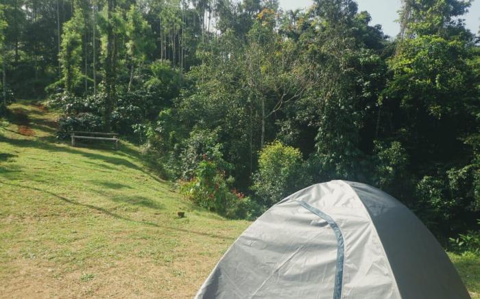 Tropical camping