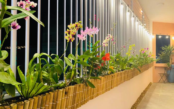 GREENTREE (2 P.NGỦ, TẦNG 2, CÓ P.BẾP, MÁY GIẶT...)