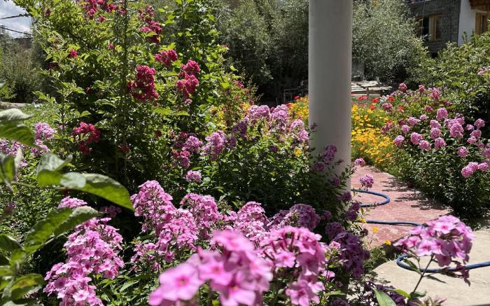 Chakzot garden house