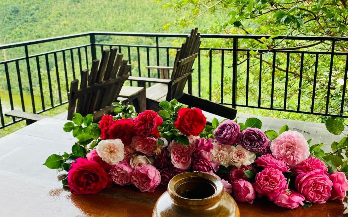 Mimoza Homestay Cau Đat