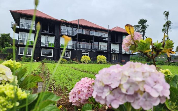 The Cozy castle Nuwara Eliya