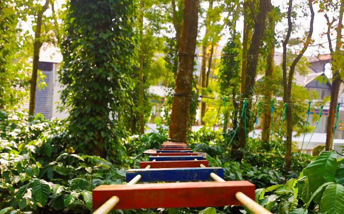 The Grand Retreat - Chikmagalur