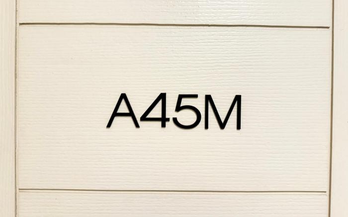 Mosaic Condomonium 1 bedroom - A45M